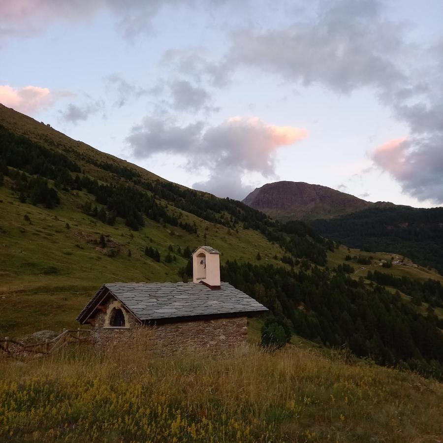 Les Campanules *