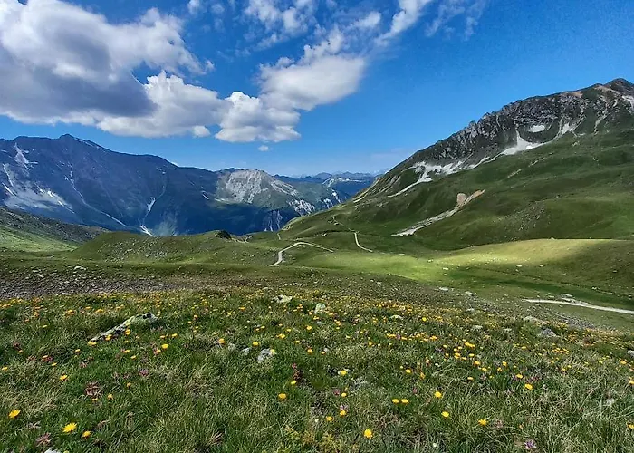 les campanules