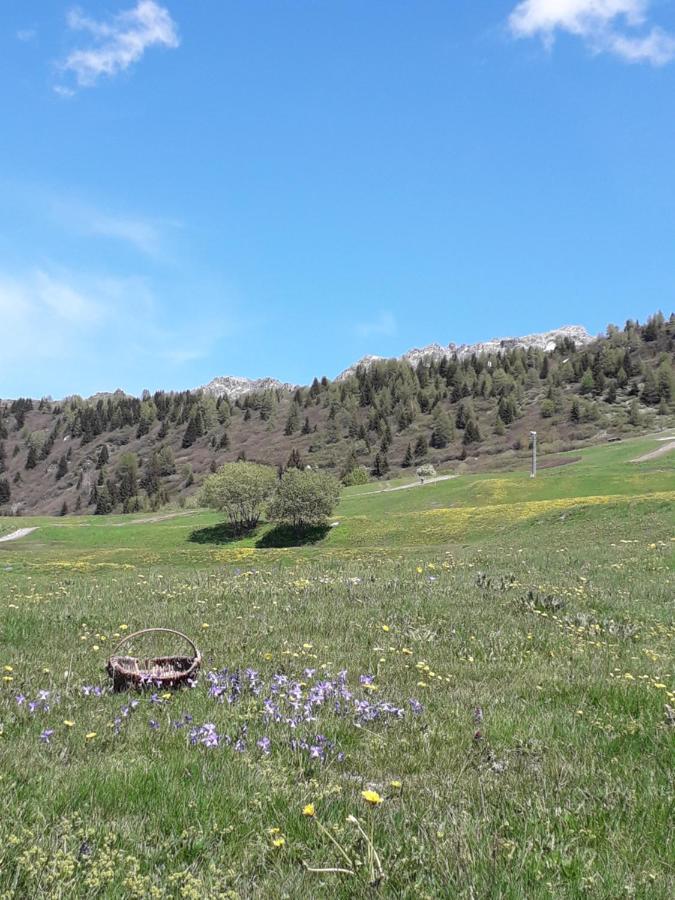 Appartement Les Campanules