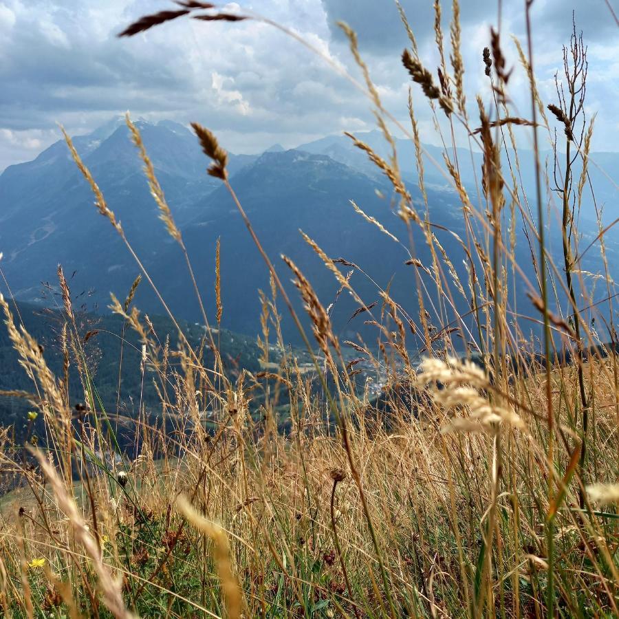 Les Campanules Bourg-Saint-Maurice