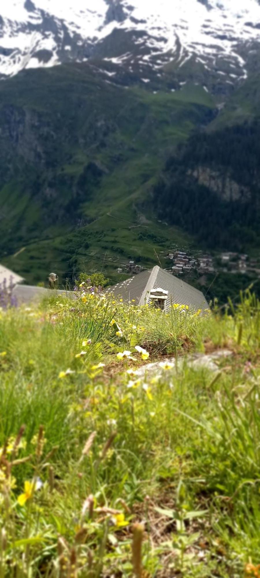 Les Campanules * Bourg-Saint-Maurice