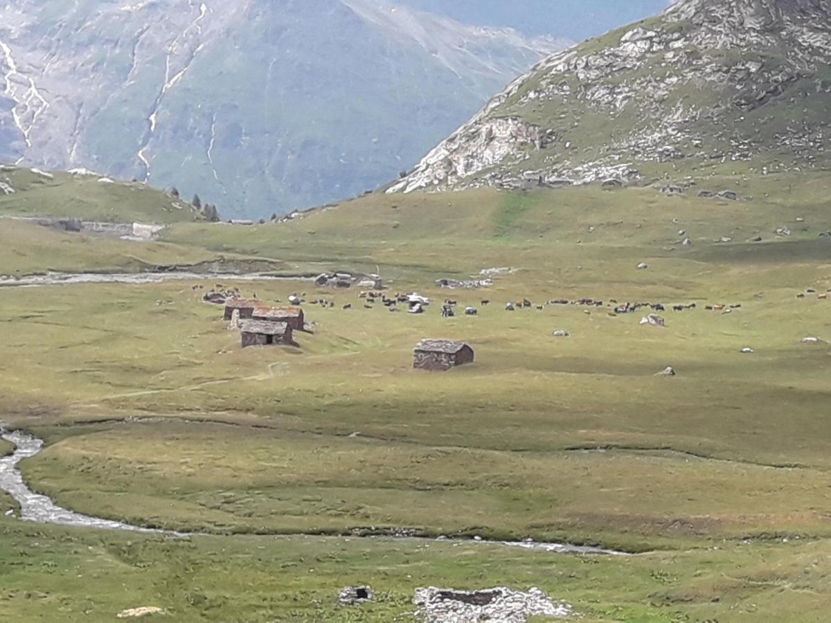 Les Campanules Bourg-Saint-Maurice
